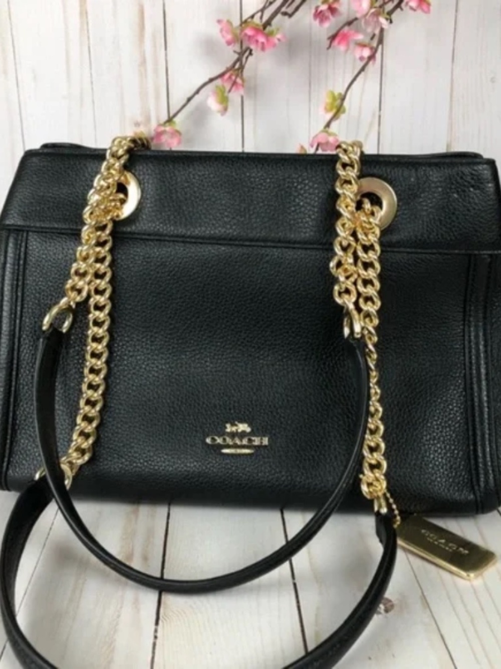 NWT COACH BROOKE CHAIN CARRYALL - Picture 9 of 12